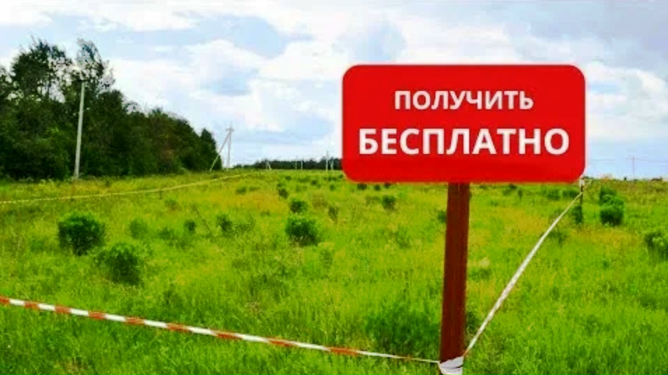 Комиссия обсудит выдачу бесплатных земельных участков в Бокситогорском районе