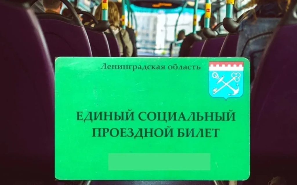 В Ленинградской области семьи участников СВО смогут пользоваться льготным проездом