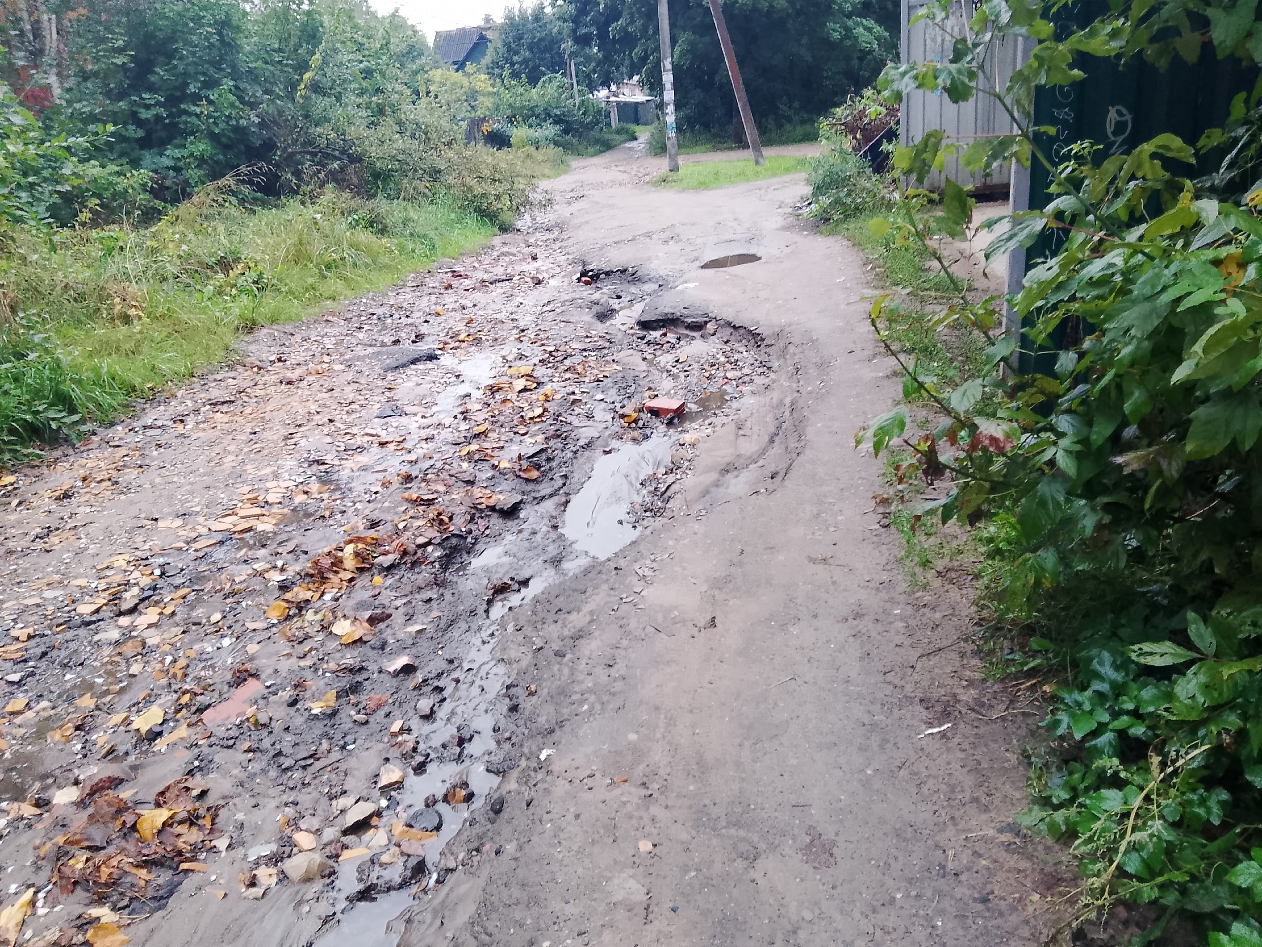 Дожди размыли дорогу на улице 6-й Заречной в городе Луга