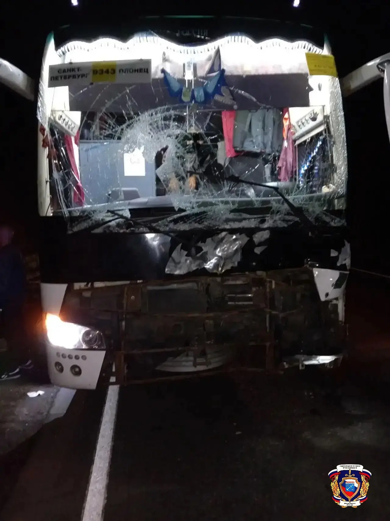 Рейсовый автобус сбил лося на трассе Лодейнопольского района