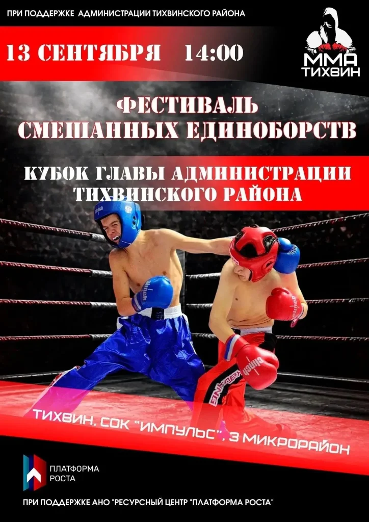 В Тихвине пройдет фестиваль смешанных единоборств на Кубок главы района