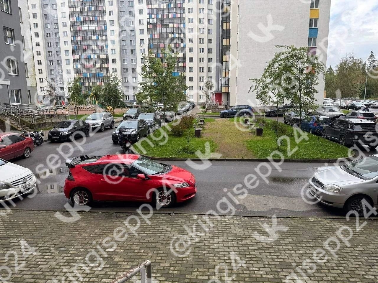 Во дворе дома на Крикковском шоссе, 32, в Кингисеппе замечена гадюка