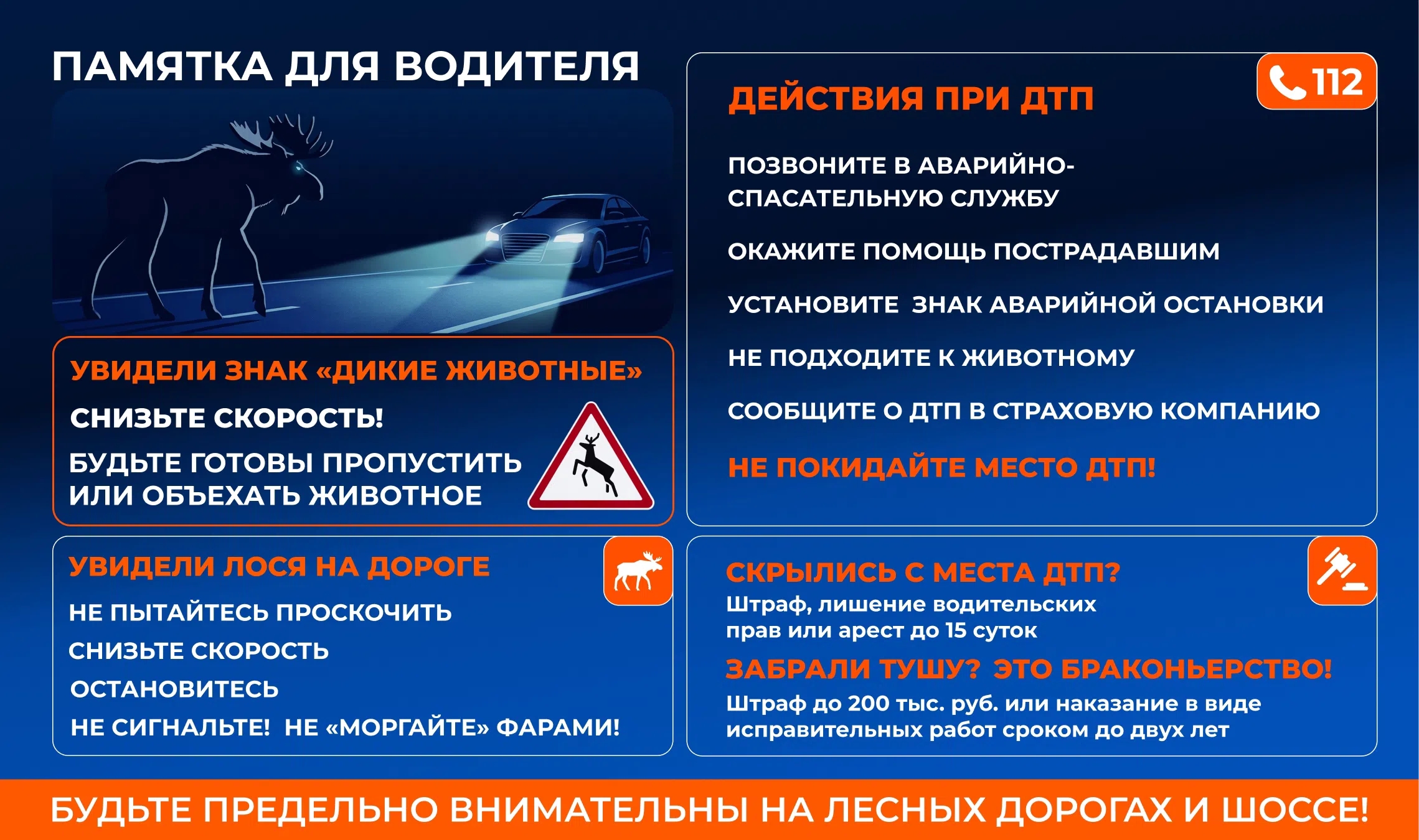 ФКУ Упрдор «Северо-Запад» предупреждает водителей об опасности лосей на трассах