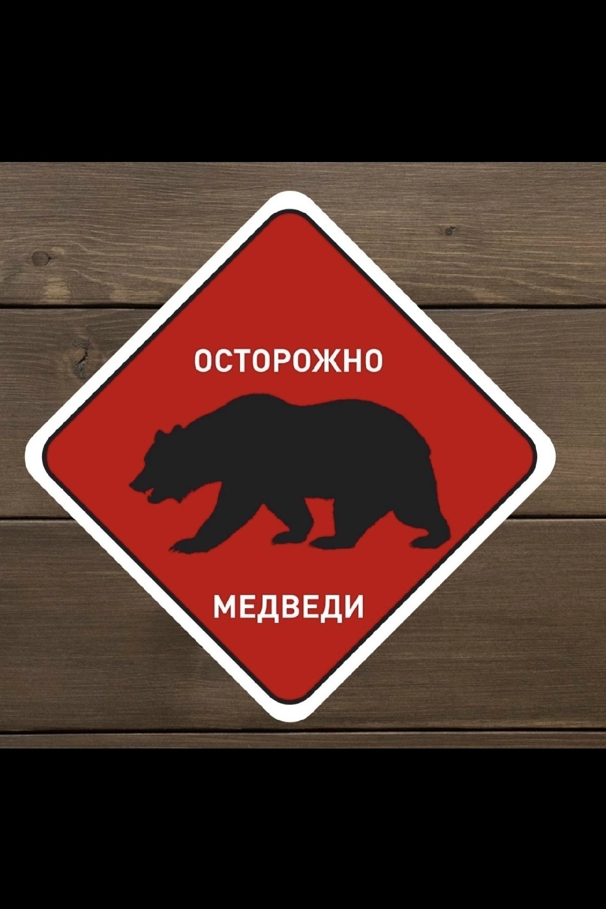Охотовед получил информацию о случаях встреч с медведем в Шамокше