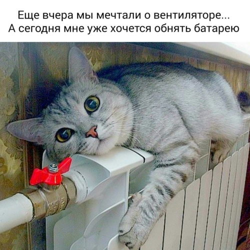 В Ленобласти начнут включать отопление с 14 сентября