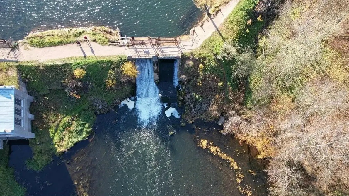 На реке Оредеж в Гатчинском районе временно снизят уровень воды