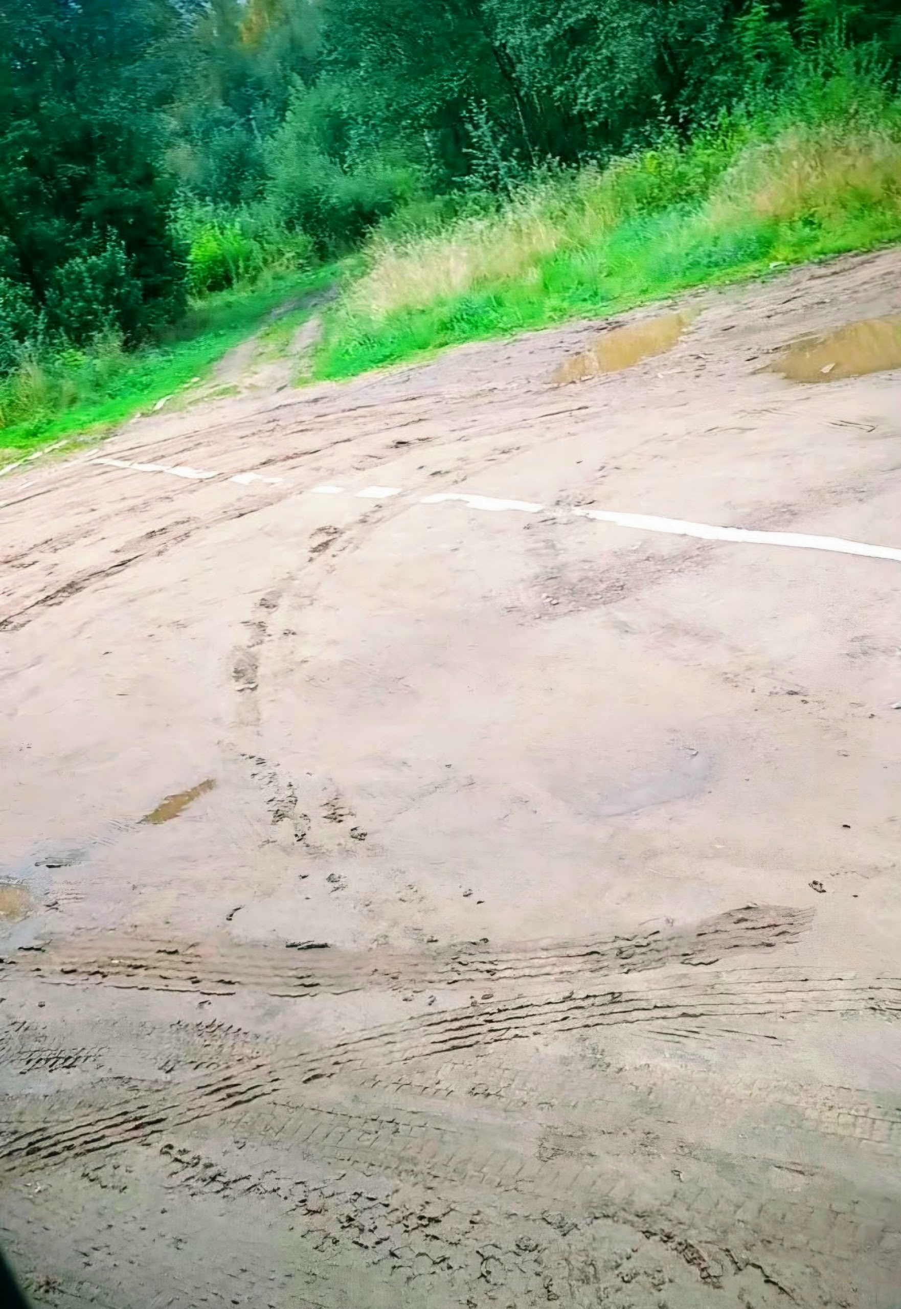 В Тихвине появилась разметка на песке